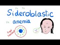 Sideroblastic Anemia