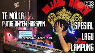 🔴 PUTUS UNYEN HARAPAN REMIX LAMPUNG || Ayeng Adi arr