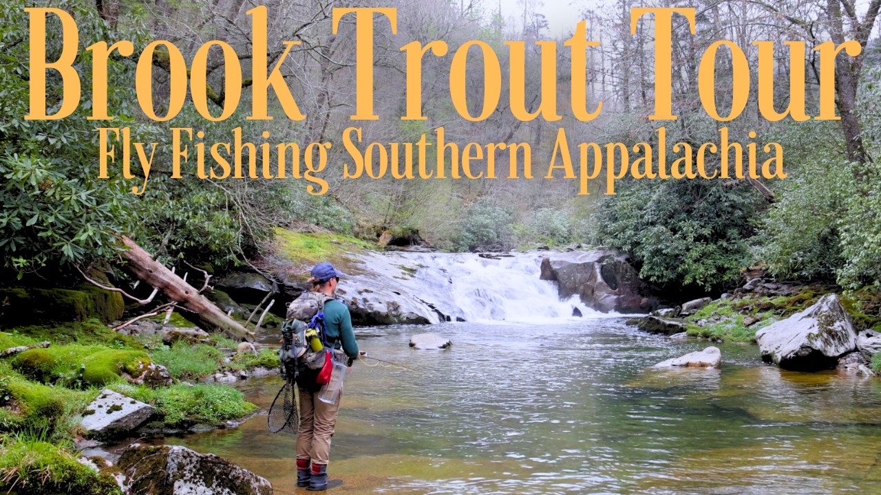 First Game fish of the United States: Legacy & Future of Brook Trout Fishing
