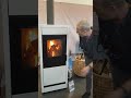 Poele Mixte Bois Et Granulés Nordica