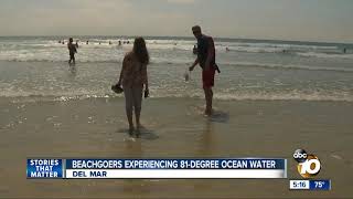 Del Mar beachgoers experiencing 81-degree ocean water