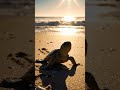 Journey to the Sea: The Baby Sea Turtle | Cinematic 4K Vertical Wildlife Documentary