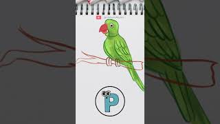 P for Parrot Drawing | Phonic sounds of alphabets | Pre-K Learning Videos | @thelilmoons #abcd