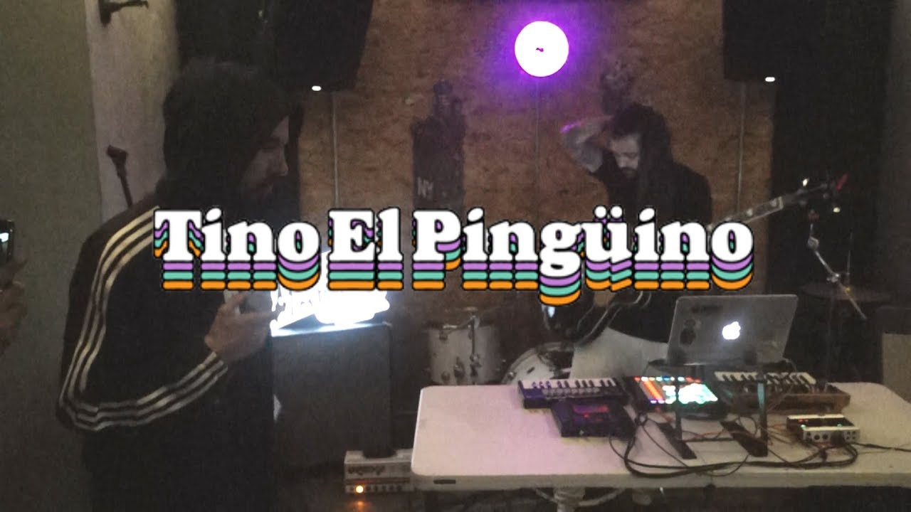 Tino El Pingüino - Cuando Piensas En Mí (Showcase Festival Marvin 2018