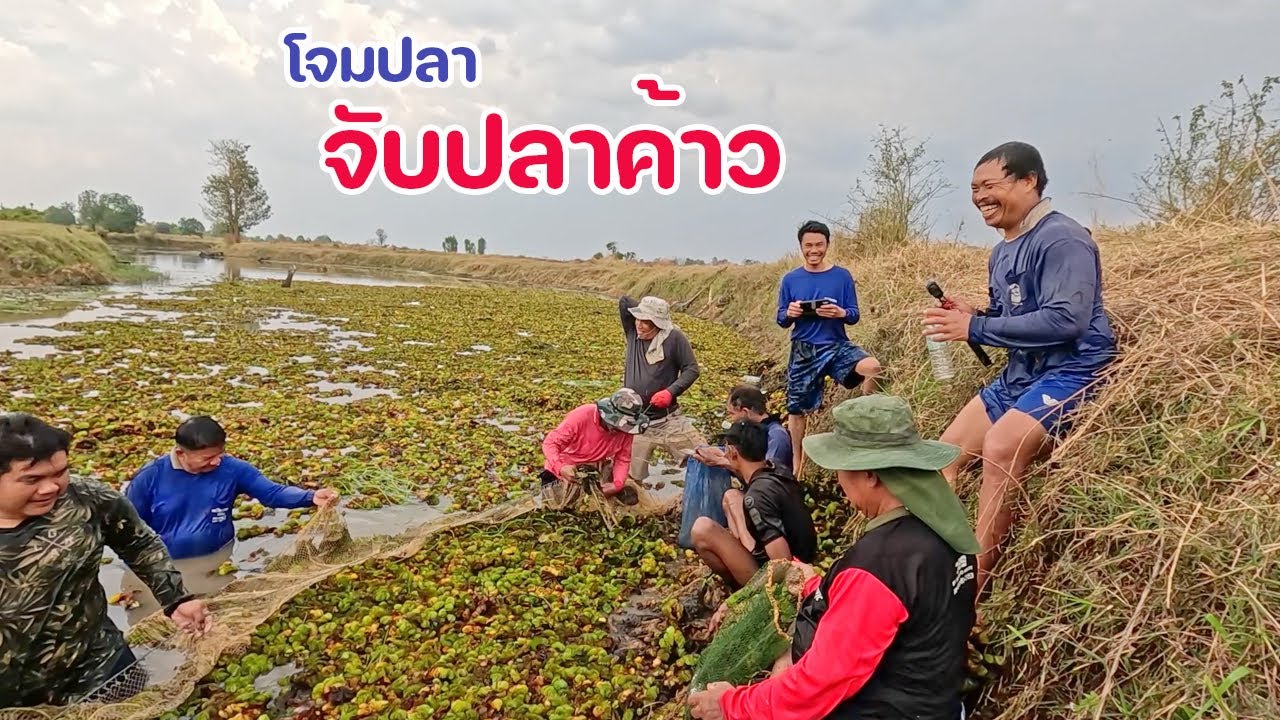 โจมปลา เจอฝูงปลาค้าว ปลาเนื้ออ่อน ต้มปลากระทิงกินข้าวป่า บรรยากาศสุดยอด