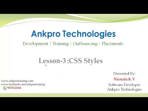 CSS Lesson 3 - CSS Styles