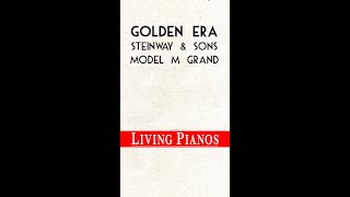 Download Mp3 HISTORIC Bechstein Grand Piano from 1884! Gudang lagu Download Mp3 HISTORIC Bechstein Grand Piano from 1884!