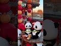 Winter Beijing Travel Guide: Where to Stay, What to Eat &amp; Culture #巴士达 #beijingtravel#beijingtrip