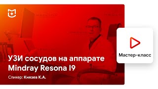 УЗИ сосудов на аппарате Mindray Resona i9