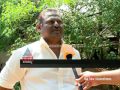 Nebu farmer cultivated huge tapioca