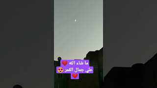 اللهم صل وسلم وبارك على سيدنا محمد وعلى اله وصحبه اجمعين ️