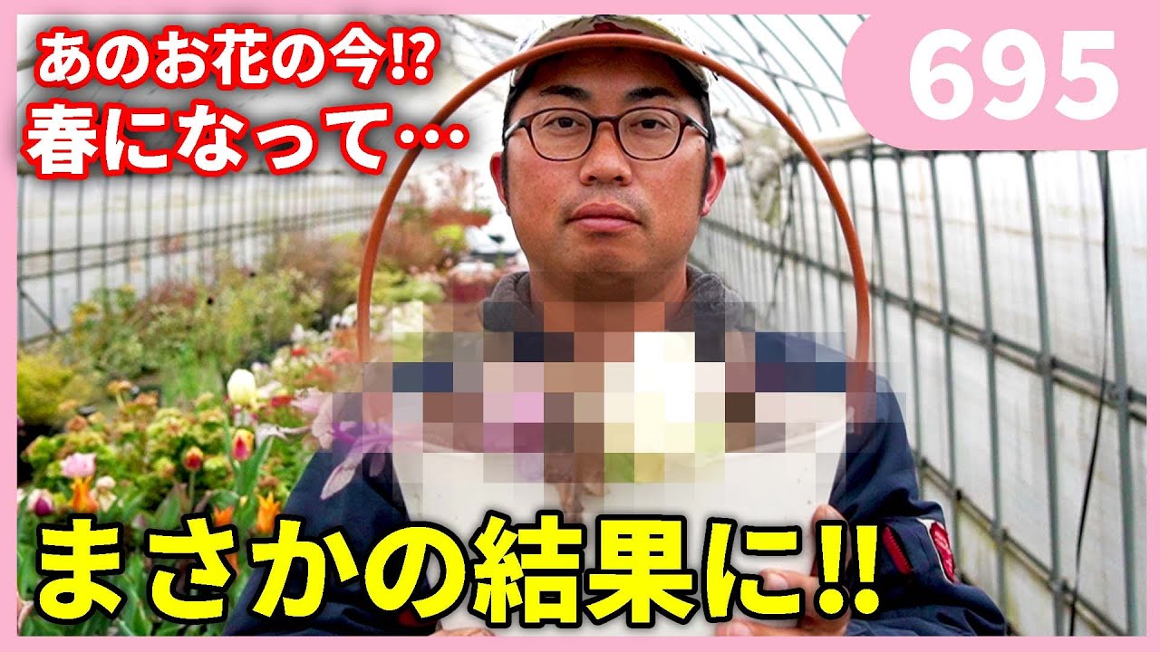 What happened to that flower? By Gardening Channel 695 Gardening