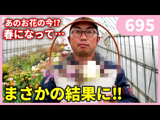 What happened to that flower? By Gardening Channel 695 Gardening