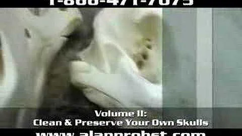 Skull Cleaning......Hunting, Trapping & Fishing