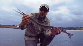 Emocionante rockfishing