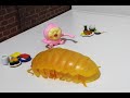 KOBITOZUKAN TOYS Kakuremomojiri こびとづかんのカクレモモジリとダンゴムシ アニメ