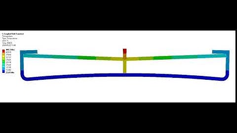 Coupled Field Simulation Video 1