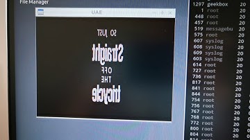 Uae Amiga Emulator on RK3368 on Linux