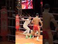 The BEST Kun Khmer festival fights  |Kun Khmer Warrior #kunkhmerfighting #boxing #martialart#fighter