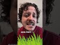 Mow the Lawn - Song n.102 My least favorite household task, but someone has to do it