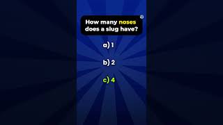 Can You Beat This 5second Quiz quizzes impossible riddle