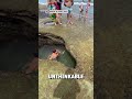 Guy swims through underwater tunnel       bviral  israeljuniior