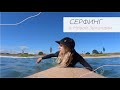 Серфинг с Insta360 Go 2 | Новая Зеландия, Маунг Маунгануи пляж