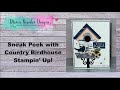 Sneak peek with country birdhouse    stampin up
