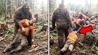 Bigfoot Showed Me What Happened To 1.000 Missing Loggers - Disturbing Sasquatch Story