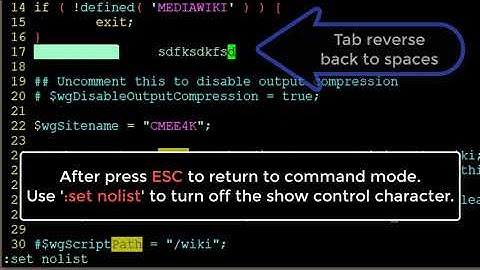 Use Windows Putty and Unix Vim editor
