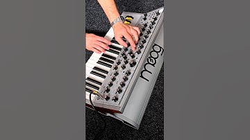 Moog Subsequent 37 CV Synth -  Inspiring sounds and harmonics 🎹 #moog #subsequent37 #synth