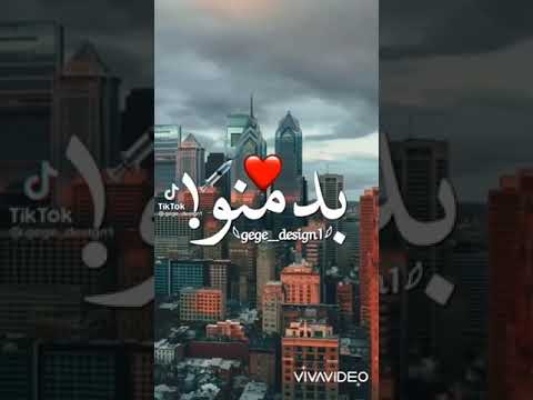 قلبي حبيب قلبي بدمنو