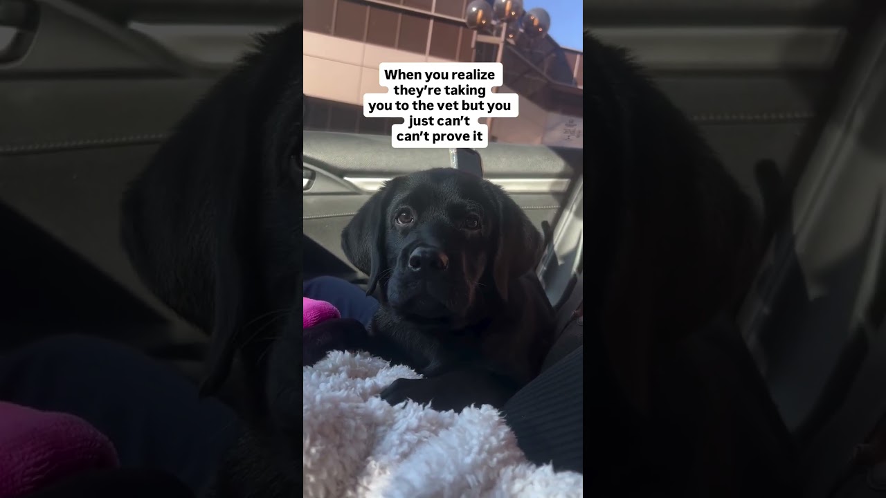 Damn true 😂❤️