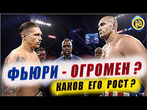 Видео: УСИК vs ФЬЮРИ - Прогноз на бой - Александр не достанет?!!! Анализ #бокс