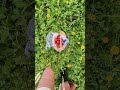 Нам очень нравится мысль, что у каждой девушки есть свой золотой момент ✨