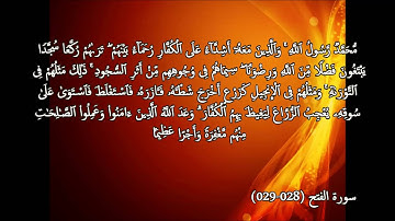 تلاوة خاشعة بصوت الشيخ أبوبكر مومني - صلاة الجمعة (من سورة الفتح والنبأ ).