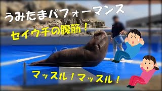 【水族館】ペリカンがセイウチがとっても愉快なコミカルパフォーマンスうみたまご