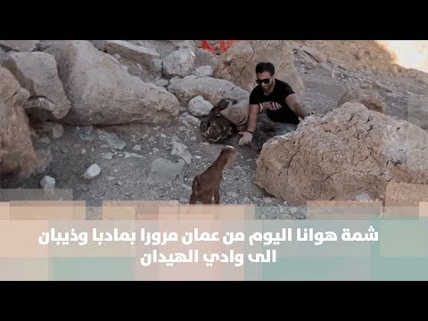شمة هوانا اليوم من عمان مرورا بمادبا وذيبان الى وادي الهيدان