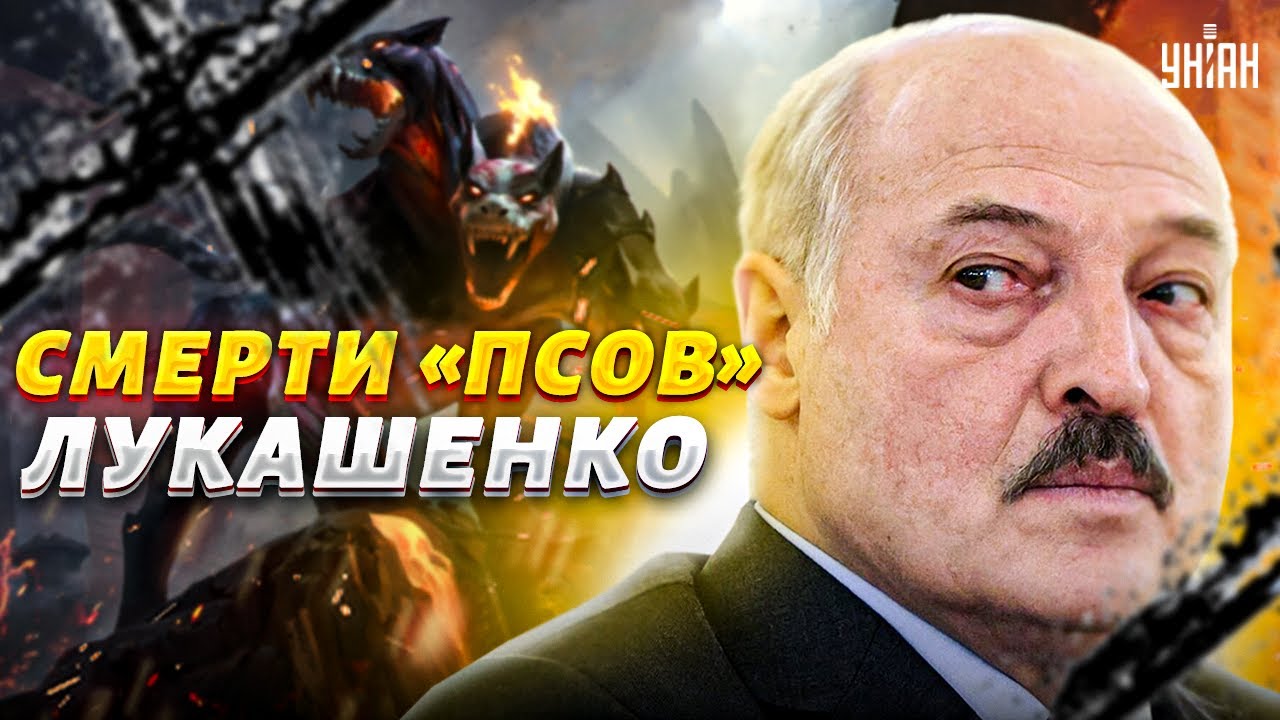 Мрут как мухи. Псам Лукашенко загадочно приходит конец. Путин выдал ...