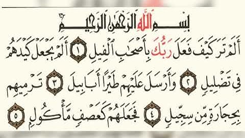 سورة الفيل ماهر المعيقلي 105