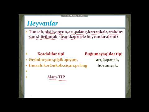 Video: Rusiya sualtı donanması (3 -cü hissə)