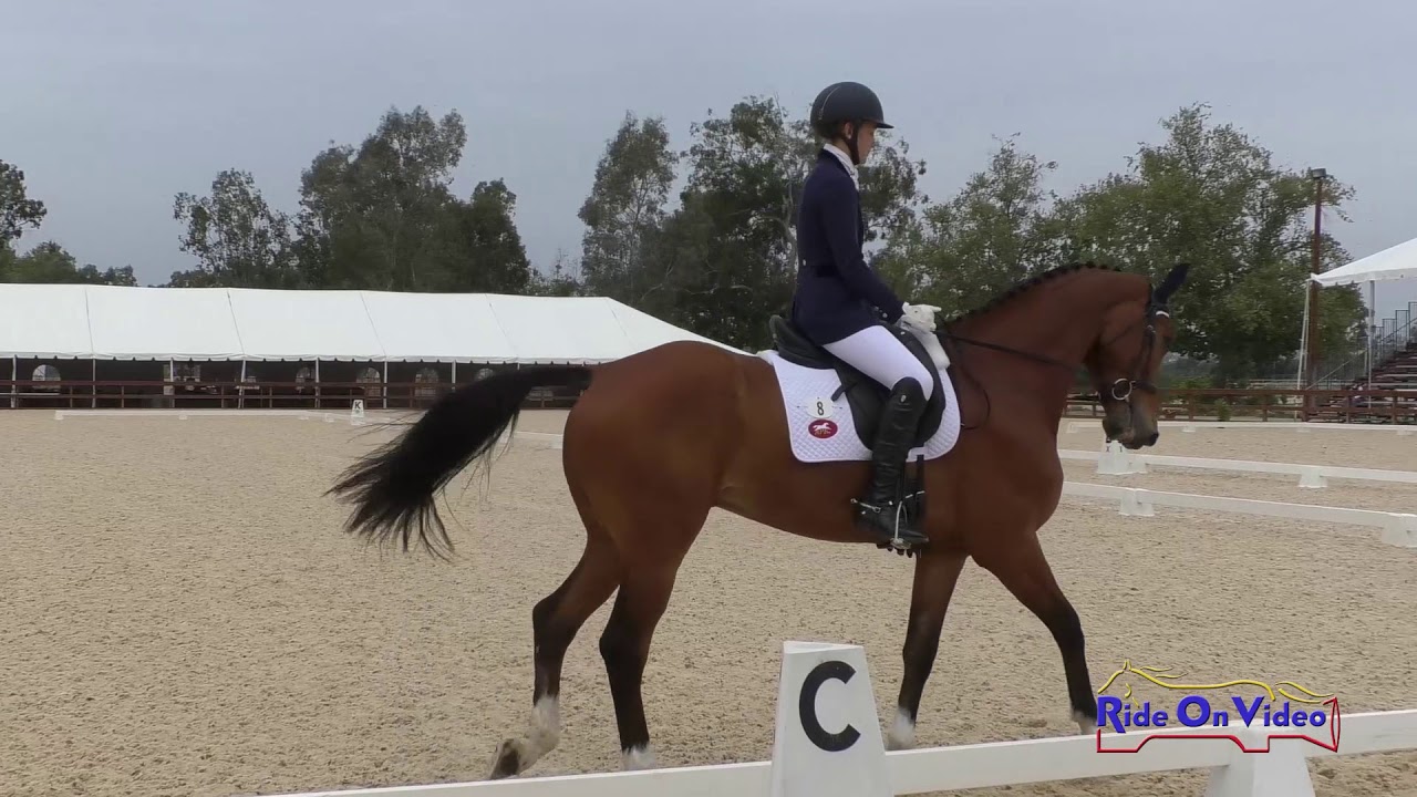 downs sims 008D Charlotte Babbitt on 2 A M Intermediate Dressage Galway Downs May 2019