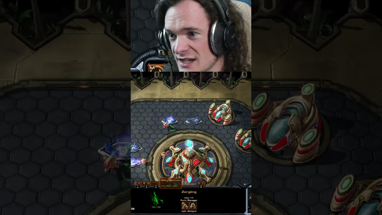 Zergnorris -  the hero zergling | 