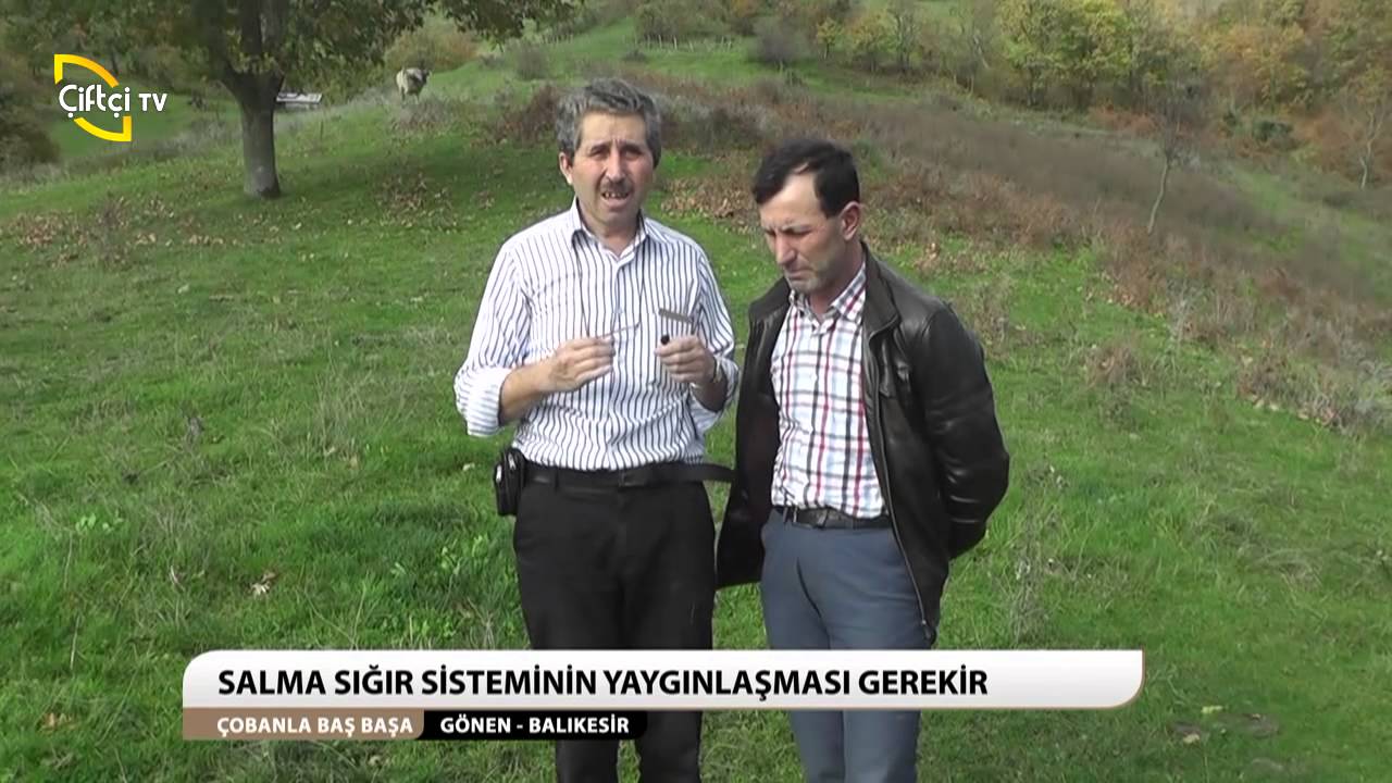 ÇOBANLA BAŞ BAŞA/GÖNEN-BALIKESİR/SALMA SIĞIR SİSTEMİ
