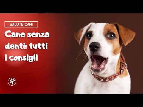 Video: Quando le tettarelle di Dog Nursing tornano alla normalità?