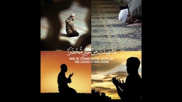 قرآن كريم بصوت #ماهر_المعيقلي #سورة_آل_عمران #حالات #السعودية #قرآن #ستوريات #تلاوات #الله