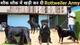 इस युवा का Rottweiler Kennel | Elite Rottweilers | Dog Farm