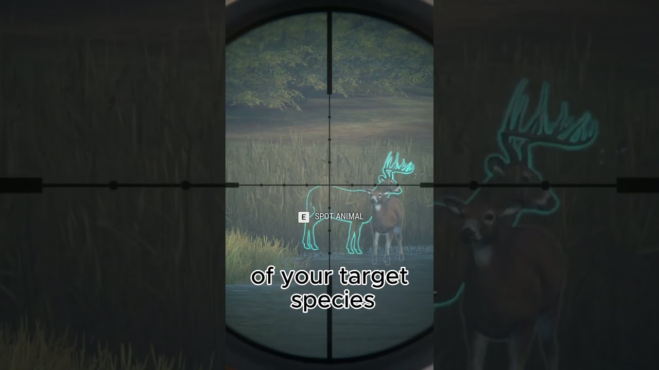Herd Management Explained In 30 Seconds