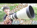 総額○○万円で600mmの超望遠レンズを野鳥撮影用に買ったのでさっそく試し撮りしていく！！！！！