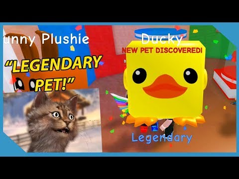 I Got a Legendary Ducky Pet in Roblox Bubble Gum Simulator